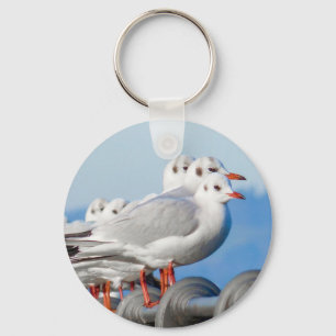 Seagulls Cute Bird Keychain