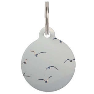 Seagulls Flock Flying  Pet Tag
