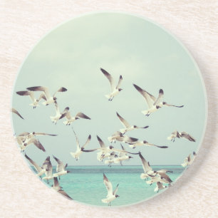 Seagulls Flying Coaster
