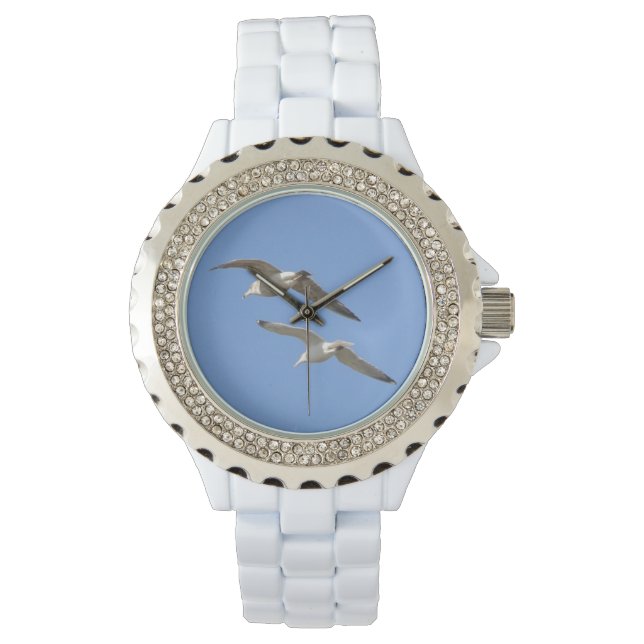 Seagulls Flying High - Watch (Front)