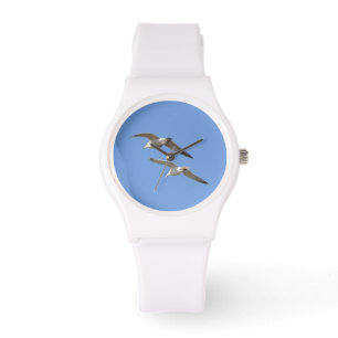 Seagulls Flying High - Watch