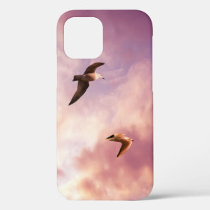 Seagulls flying in a sunset sky Case-Mate iPhone c 12 Case
