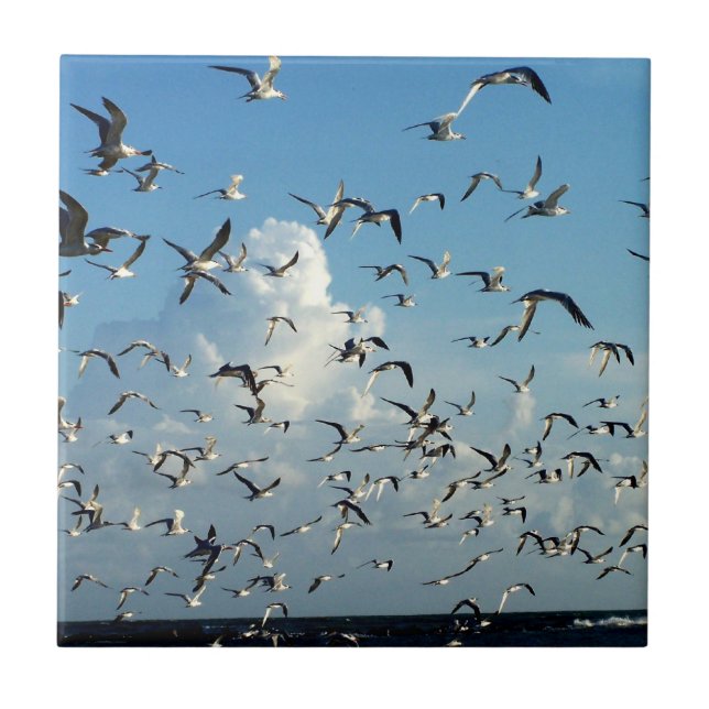 seagulls flying over beach tile (Front)