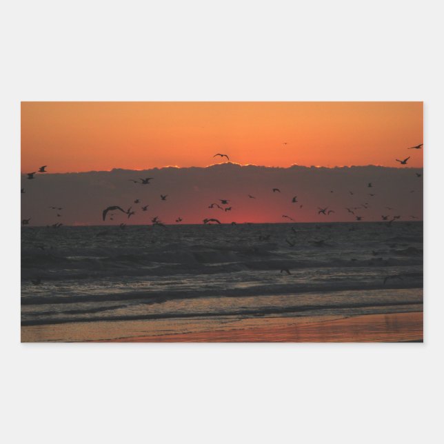Seagulls Flying Over Ocean Sunrise Photo Sticker (Front)