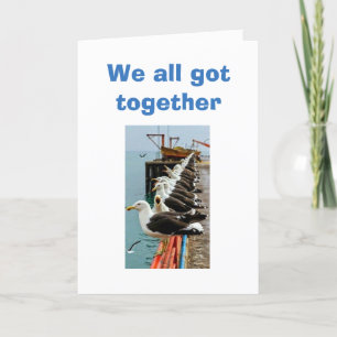 SEAGULLS GOT TOGETHER AND LANDED FOR BIRTHDAY CARD