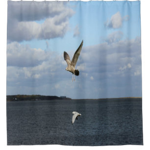Seagulls in Flight