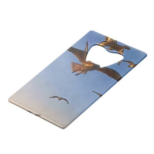 Seagulls In Flight Black Outline Art Credit Card Bottle Opener