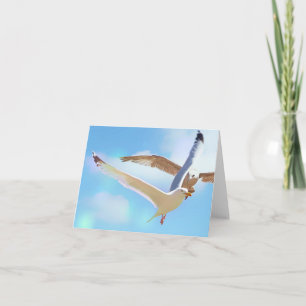 Seagulls in Flight Note Card