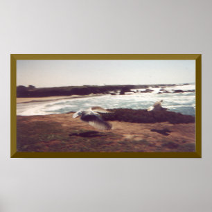 Seagulls In Flight Poster
