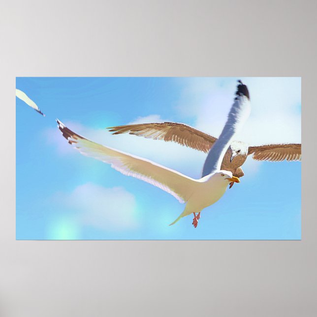 Seagulls in Flight Poster (Front)