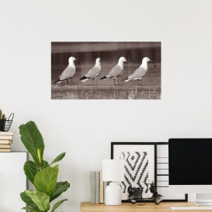 Seagulls in row poster