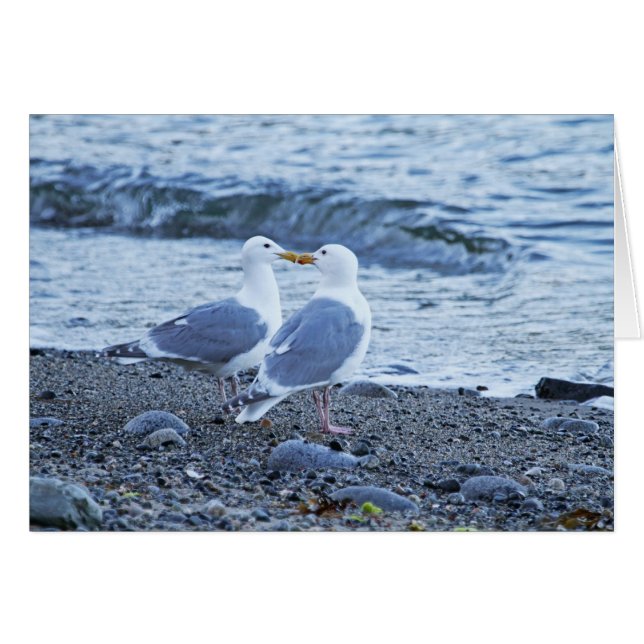 Seagulls Kissing on the Beach Photo (Front Horizontal)