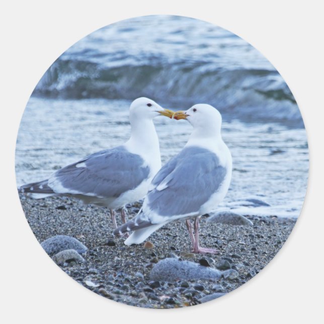Seagulls Kissing on the Beach Photo Classic Round Sticker (Front)