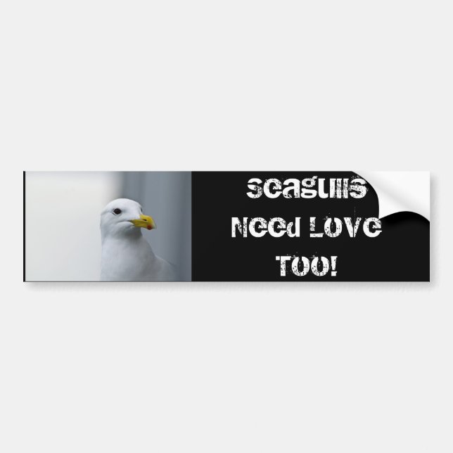 Seagulls Need Love Too Bumper Sticker (Front)