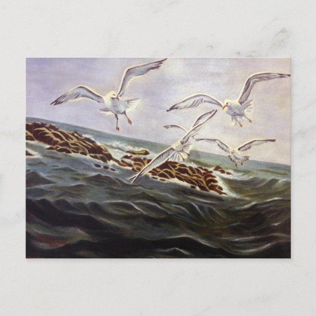 Seagulls of Kindness Postcard (Front)