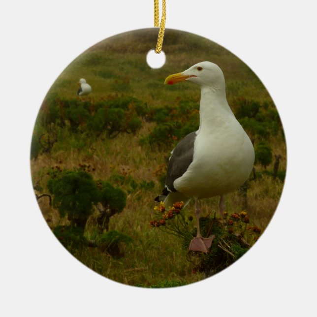 Seagulls on Anacapa Island Ceramic Ornament (Front)