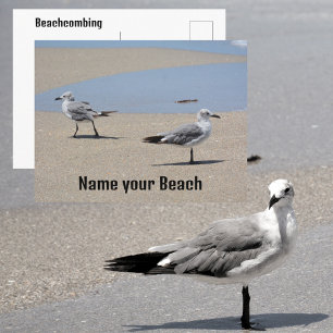 Seagulls on Beach Seashore Customizable Postcard