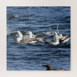 Seagulls On Oceans Acrylic Jigsaw Puzzle