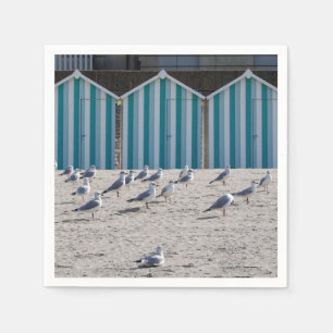 Seagulls on the beach of Fort Mahon in France. Napkin