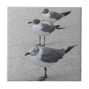 Seagulls on the Beach Tile
