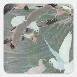 Seagulls Over Ocean Waves by Louis Agassiz Fuertes Square Sticker