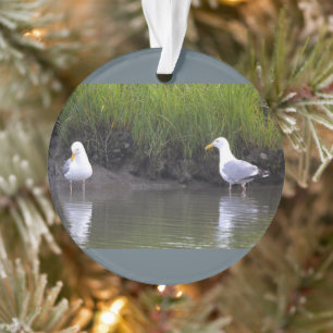 Seagulls Photo Ornament 