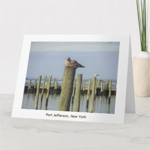 seagulls, Port Jefferson NY Card