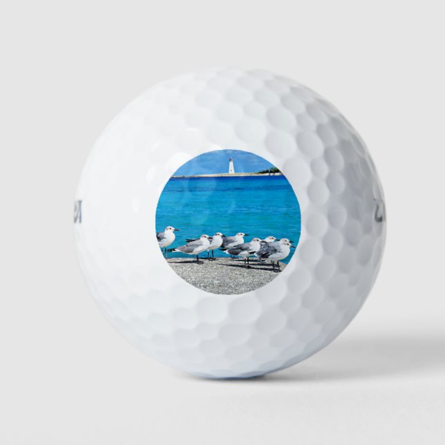Seagulls, sandy beach, Nassau, Bahamas Golf Balls (Front)