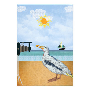 Seagulls selfies photo print