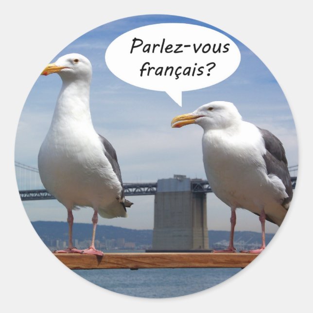 Seagulls speak French Classic Round Sticker (Front)