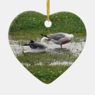 Seagulls Taking a Bath Ceramic Ornament