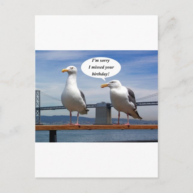 Seagulls talking postcard (Front)