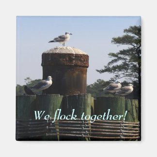 Seagulls - We Flock Together Magnet