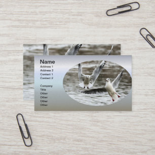 Seaguls in Flight Business Card