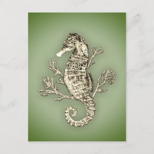 Seahorse and Coral on Green Background Postcard