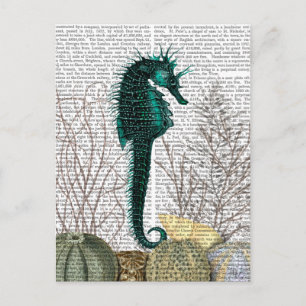 SeaHorse and Sea Urchins 2 Postcard
