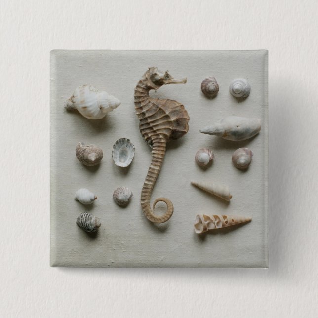 Seahorse And Shells 2 Inch Square Button (Front)