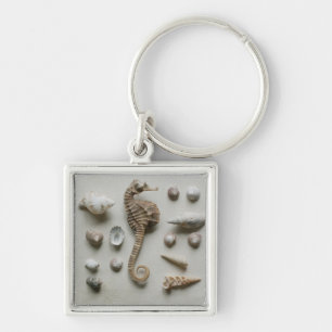 Seahorse And Shells Keychain