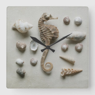Seahorse And Shells Square Wall Clock