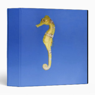Seahorse Binder