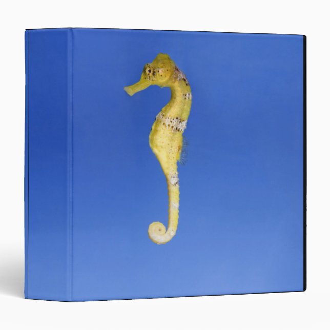 Seahorse Binder (Front/Spine)