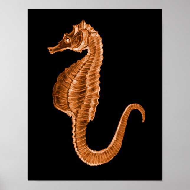 Seahorse coastal nautical ocean beach black poster (Front)
