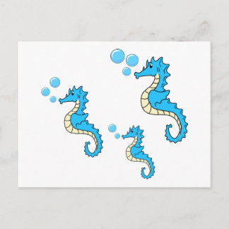 Seahorse Family Postcard