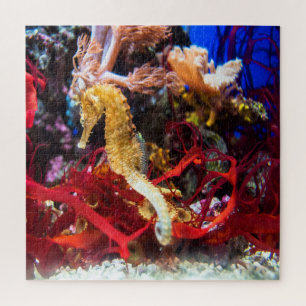 Seahorse Fantasy Jigsaw Puzzle