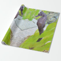 Seahorse gift wrap