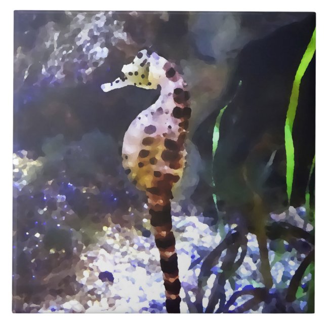 Seahorse in Aquarium Tile (Front)