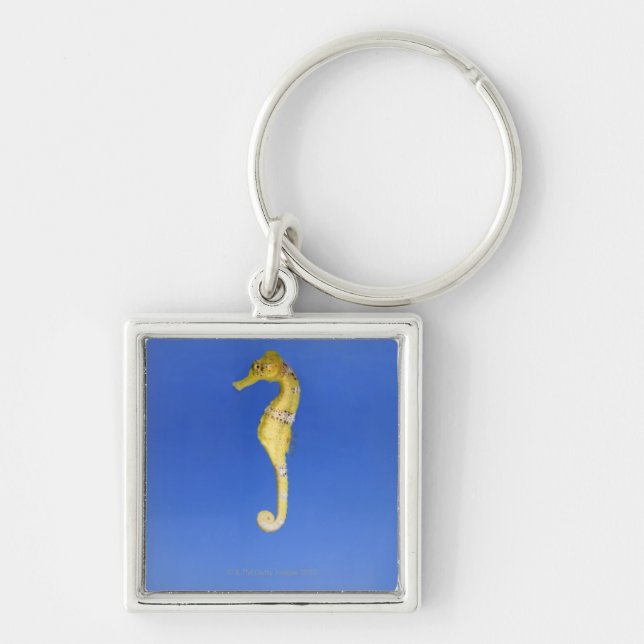 Seahorse Keychain (Front)