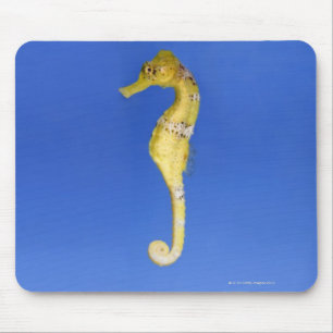 Seahorse Mouse Pad