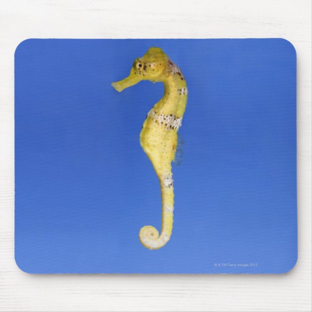 Seahorse Mouse Pad (Front)