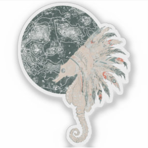 seahorse native night